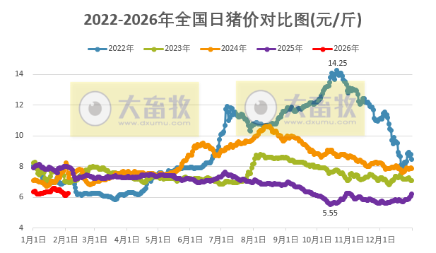 2026.02.03今天猪价行情分析