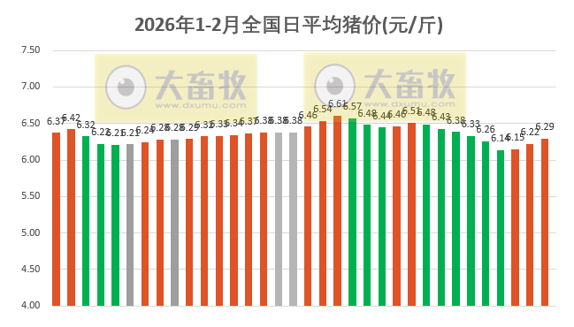 2026.02.03今天猪价行情分析