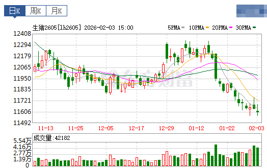 2026.02.04今天猪价行情分析