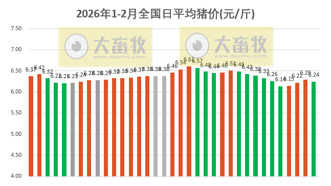 2026.02.04今天猪价行情分析
