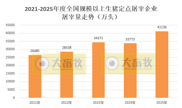 2025年12月及年度全国生猪定点屠宰企业的屠宰量情况
