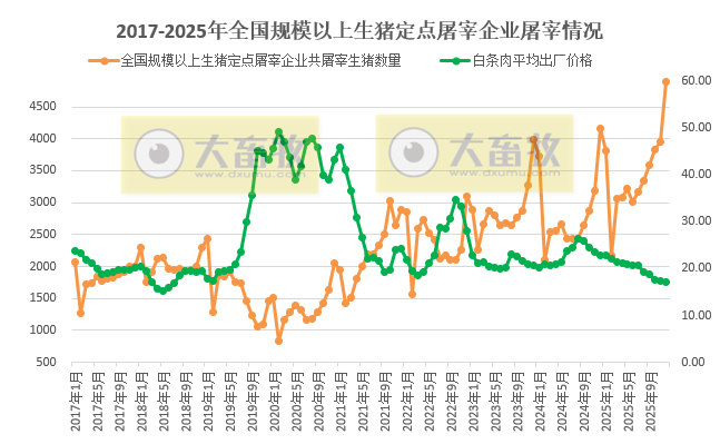 2025年12月及年度全国生猪定点屠宰企业的屠宰量情况