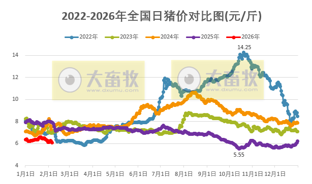 2026.02.05今天猪价行情分析