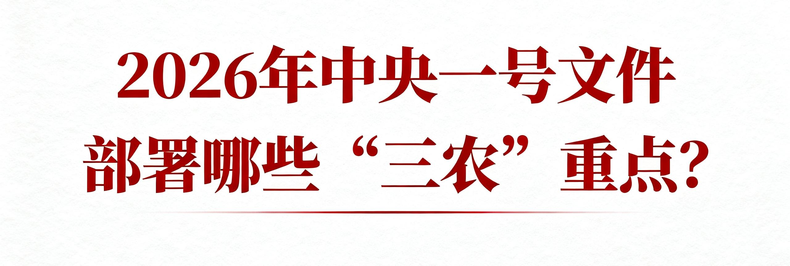 2026年中央一号文件，部署哪些“三农”重点？