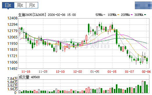 2026.02.07今天猪价行情分析