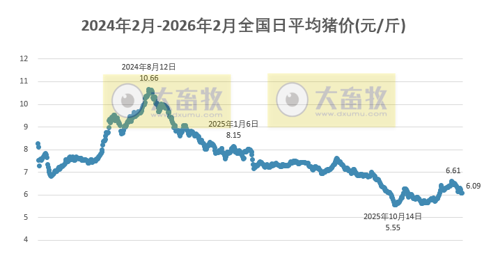 2026.02.07今天猪价行情分析