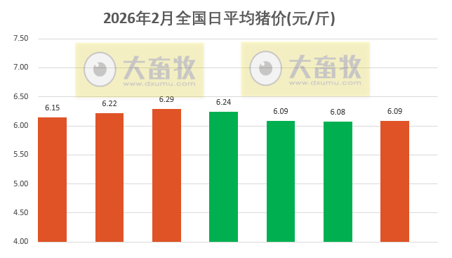 2026.02.07今天猪价行情分析