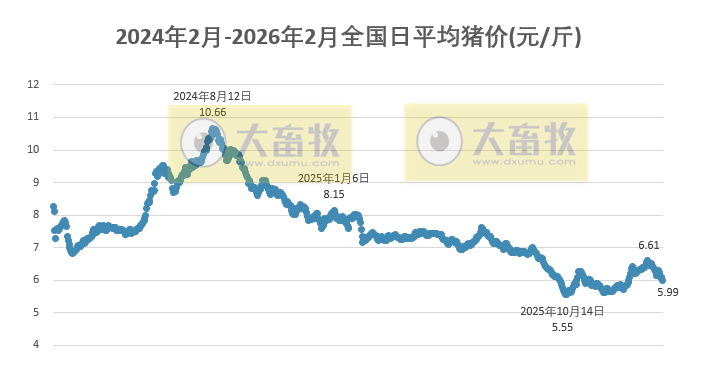 2026.02.08今天猪价行情分析