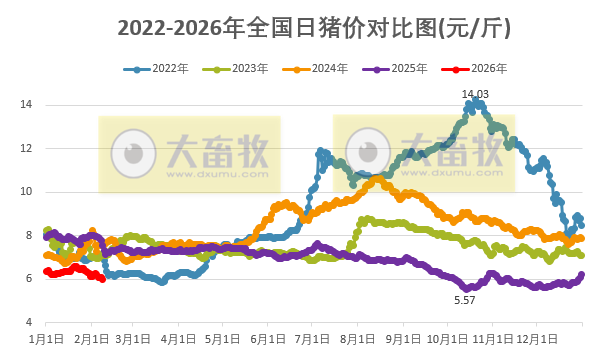 2026.02.08今天猪价行情分析