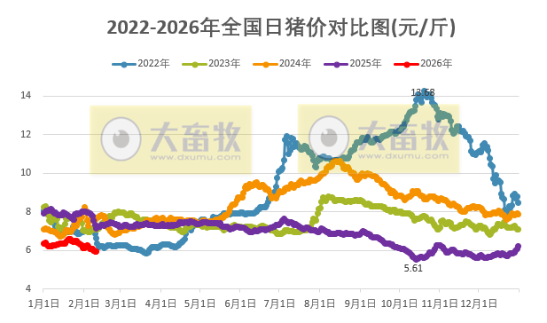 2026.02.10今天猪价行情分析