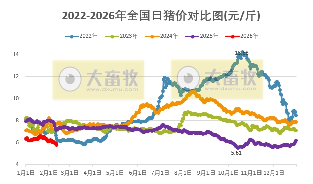 2026.02.11今天猪价行情分析