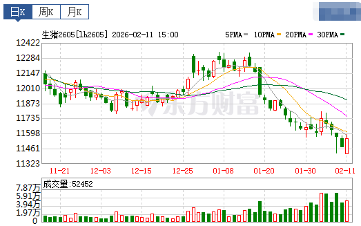 2026.02.12今天猪价行情分析，15省全面跌破6元大关