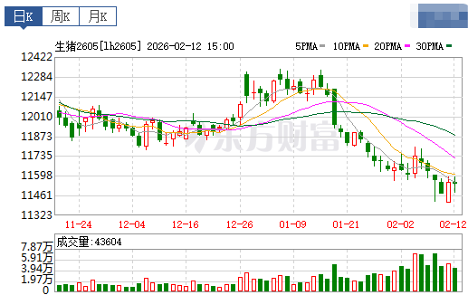 2026.02.13今天猪价行情分析
