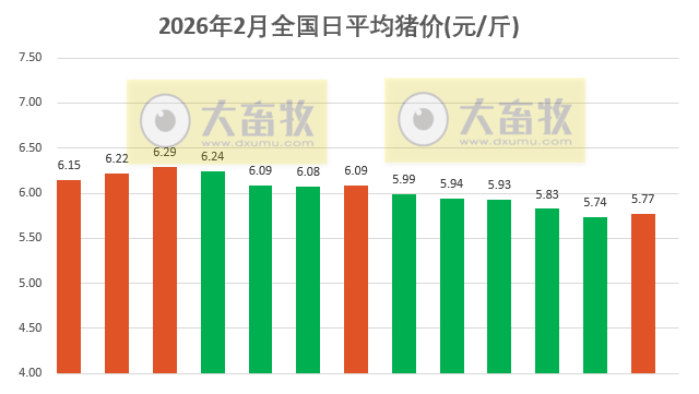 2026.02.13今天猪价行情分析