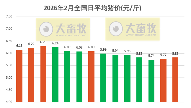 2026.02.14今天猪价行情分析