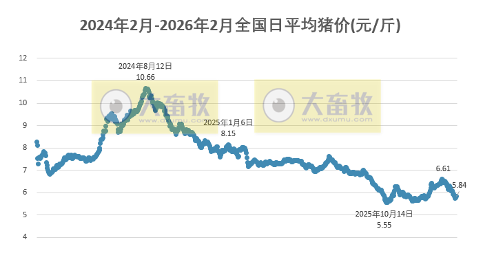 2026.02.15今天猪价行情分析