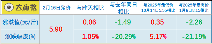 2026.02.16今天猪价行情分析