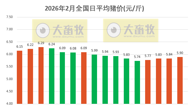 2026.02.16今天猪价行情分析