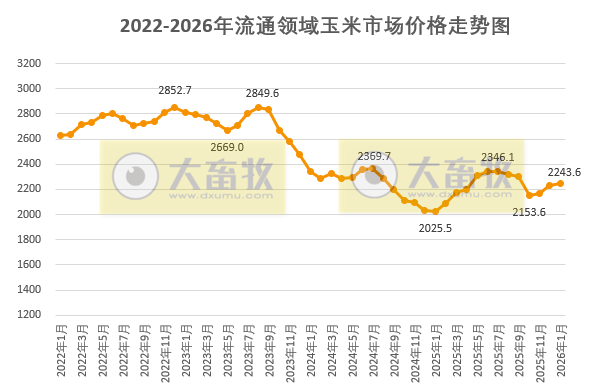 2026年2月中国玉米供需形势分析