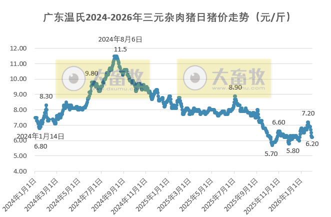 广东温氏2026年1月猪价走势分析