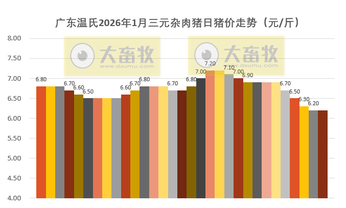 广东温氏2026年1月猪价走势分析