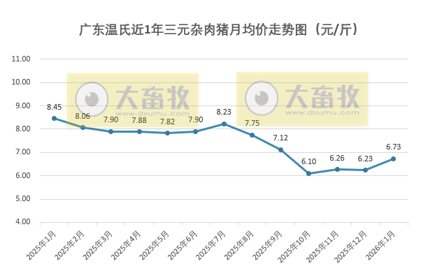 广东温氏2026年1月猪价走势分析