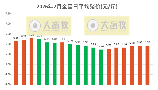 2026.02.18今天猪价行情分析