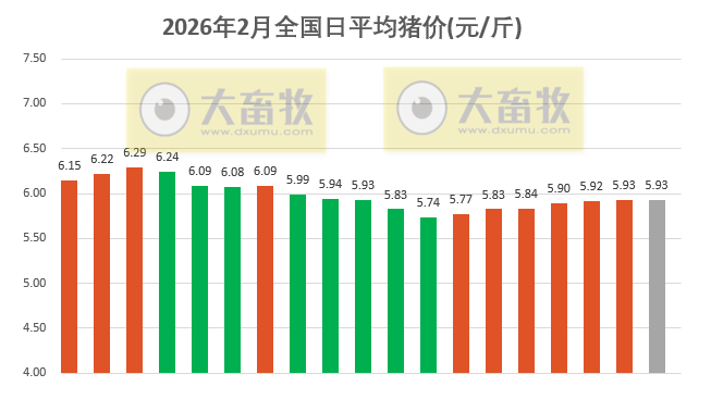 2026.02.19今天猪价行情分析