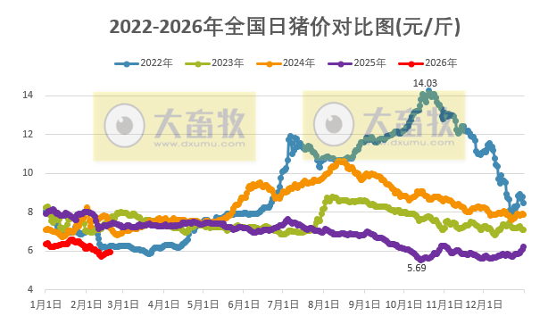 2026.02.19今天猪价行情分析