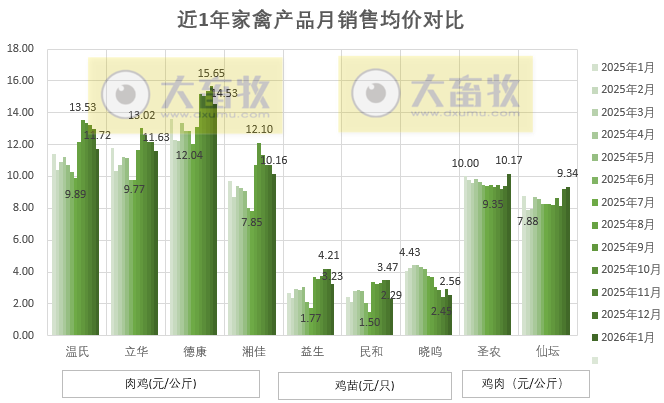 9家上市家禽企业2026年1月肉鸡和鸡苗销售情况PK