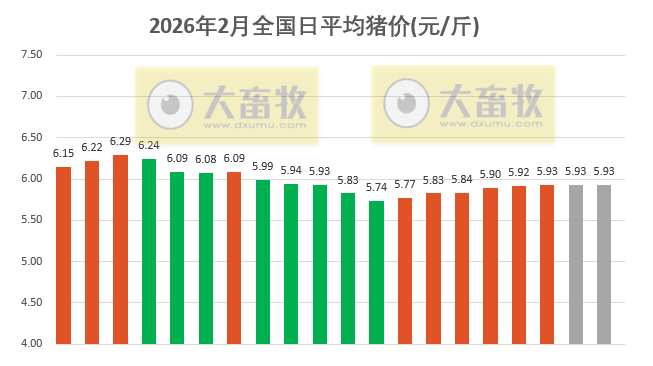 2026.02.20今天猪价行情分析