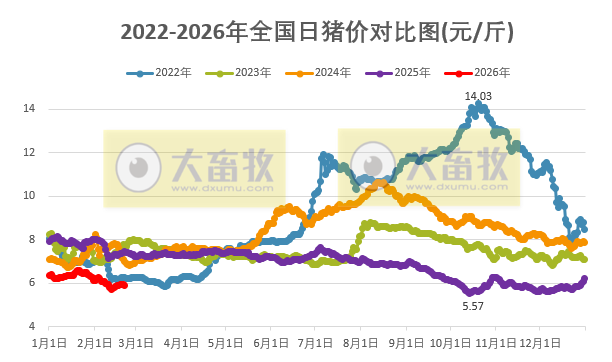 2026.02.21今天猪价行情分析