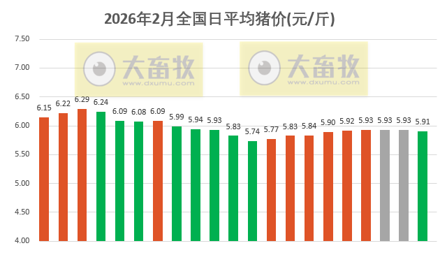2026.02.21今天猪价行情分析