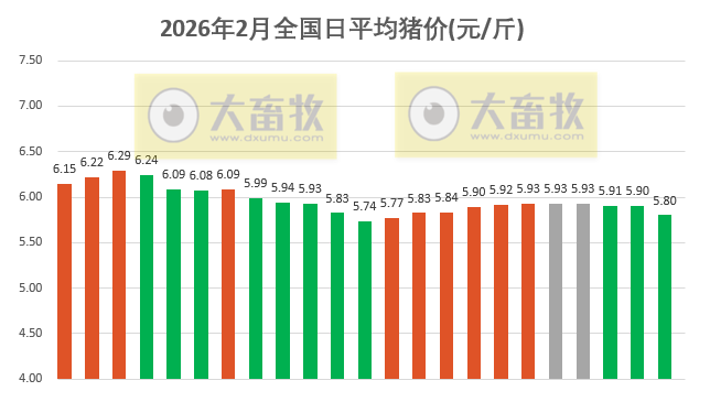 2026.02.23今天猪价行情分析