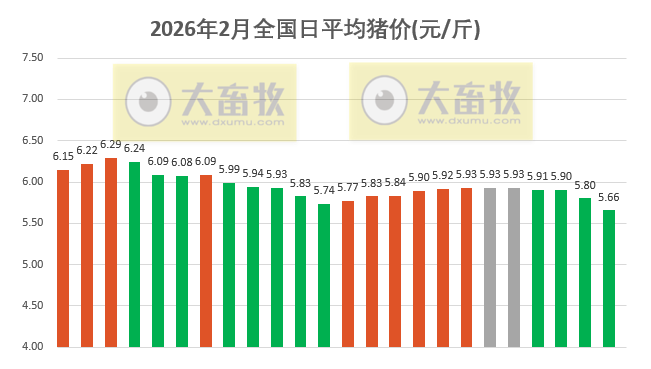 2026.02.24今天猪价行情分析