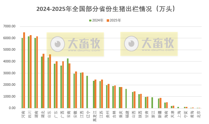2025年全国各省生猪生产数据出炉啦!