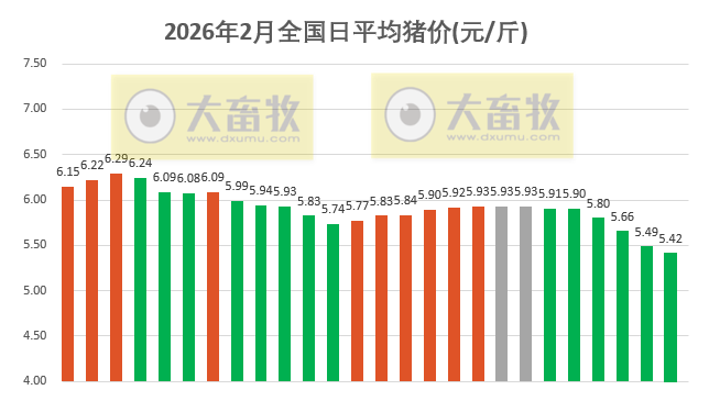 2026.02.26今天猪价行情分析