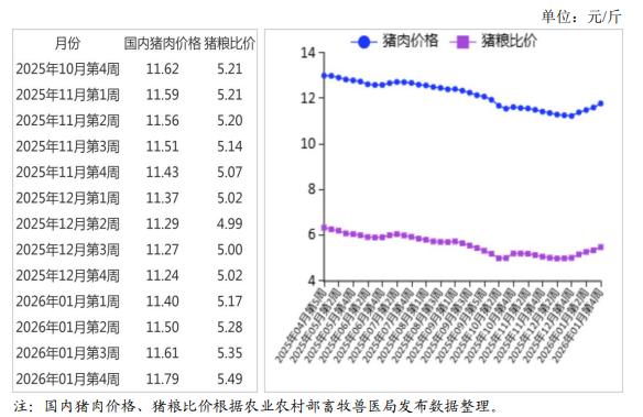 2026年1月国内和国际猪肉市场行情分析——生猪及猪肉价格普遍上涨