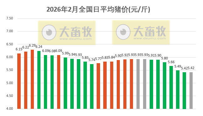 2026.02.27今天猪价行情分析