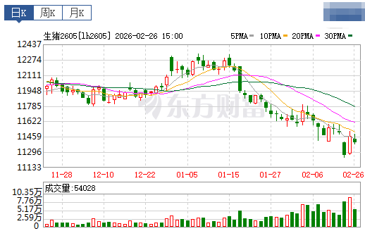 2026.02.27今天猪价行情分析
