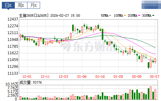 2026.02.28今天猪价行情分析