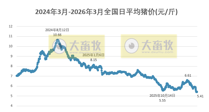 2026.03.01今天猪价行情分析