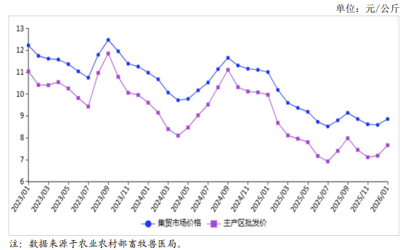 2026年1月国内禽蛋市场行情分析——鸡蛋价格小幅上涨