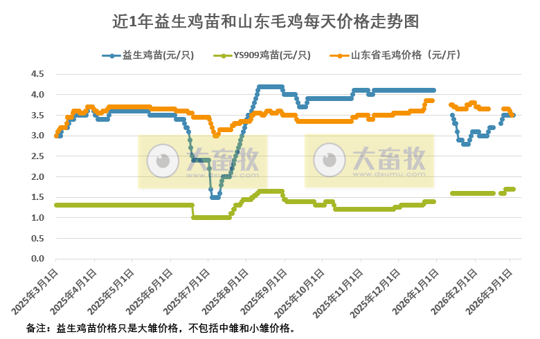2026年3月3日益生鸡苗和山东行情资讯