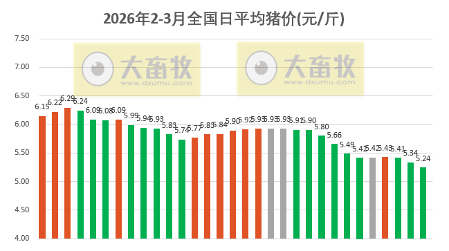 2026.03.03今天猪价行情分析