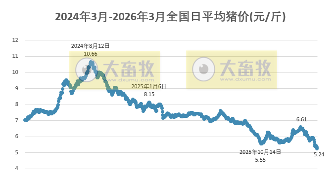 2026.03.03今天猪价行情分析
