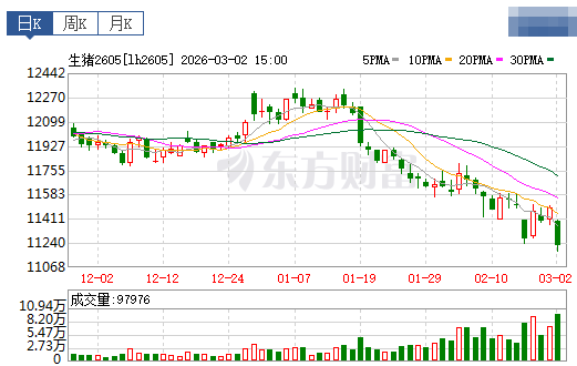 2026.03.03今天猪价行情分析
