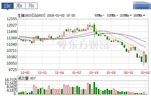 2026.03.03今天猪价行情分析