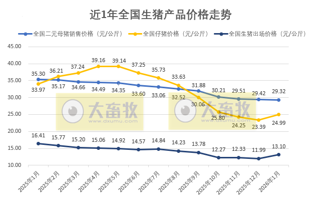 国家五部委发布2026年1月全国二元母猪仔猪生猪及各种猪肉产品价格情况
