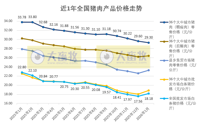 国家五部委发布2026年1月全国二元母猪仔猪生猪及各种猪肉产品价格情况